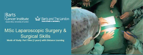 MSc Laparoscopic Surgery & Surgical